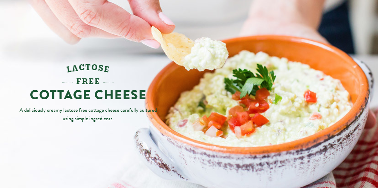 The World S First Fodmap Friendly Certified Cottage Cheese