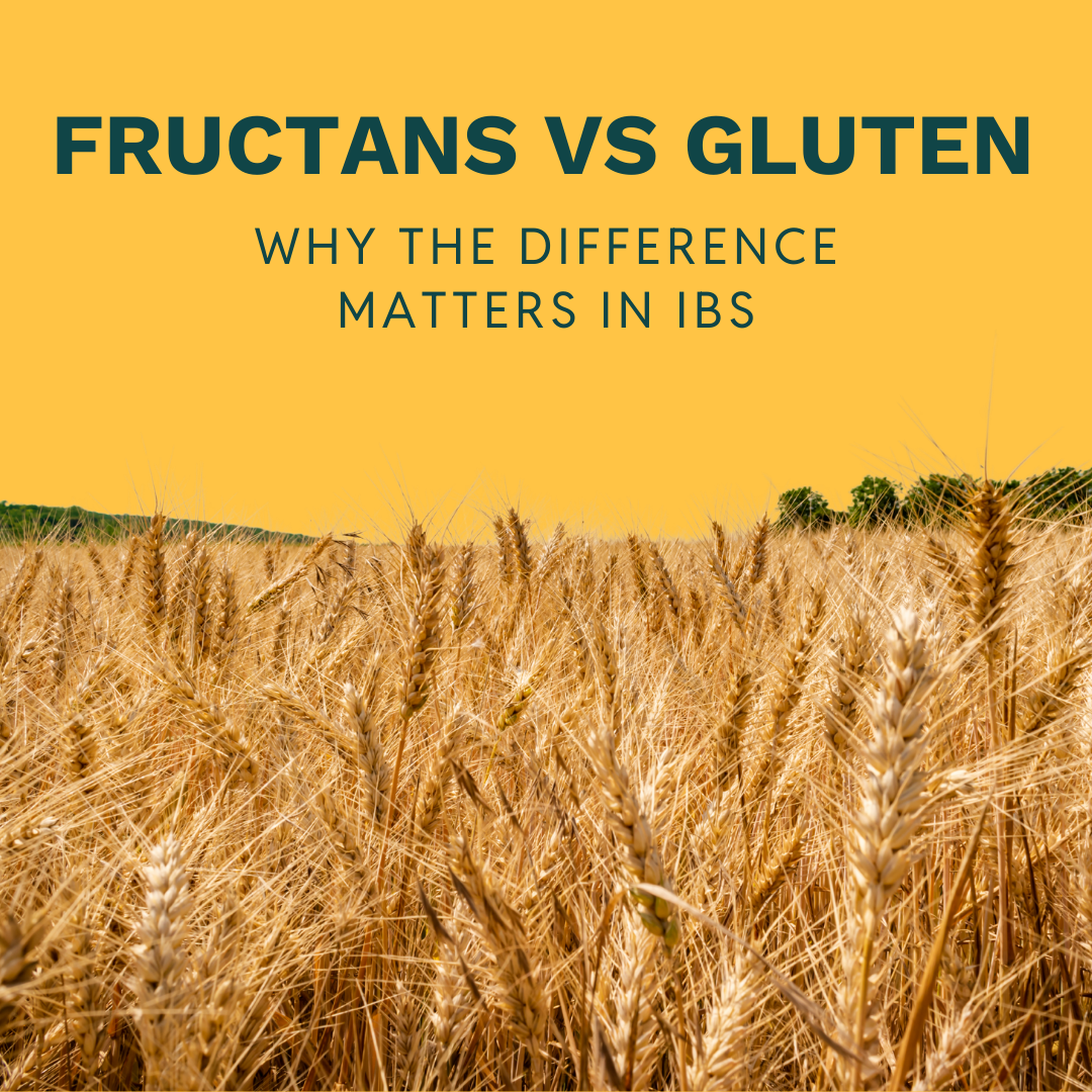 A field of golden wheat under a clear sky with the text: Fructans vs Gluten—discover why understanding the difference matters for those managing IBS.